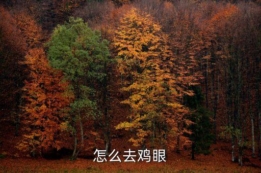什么是雞眼，請問有人知道電路中雞眼是什么意思嗎英文叫什么