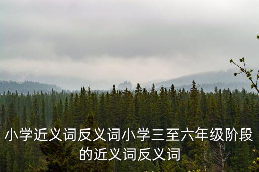 階段的近義詞，階段有哪些近義詞越多越好