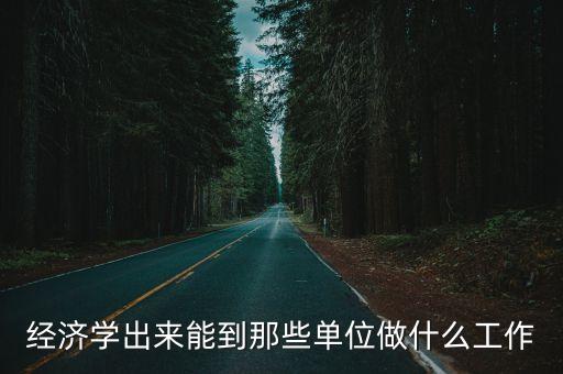 經濟學出來能到那些單位做什么工作