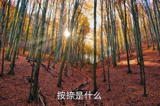 按捺，按捺是什么