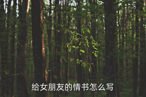 給女朋友的情書怎么寫