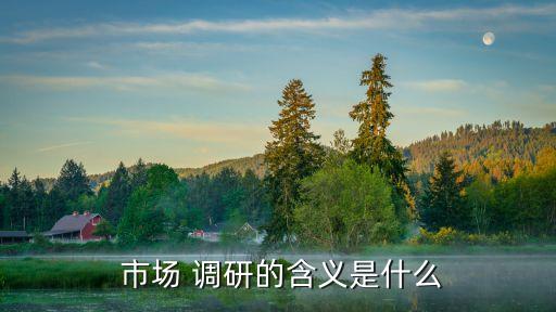  市場(chǎng) 調(diào)研的含義是什么