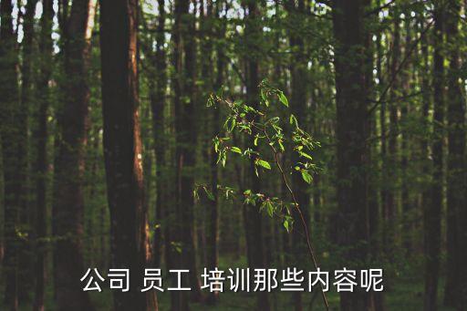 公司 員工 培訓那些內(nèi)容呢