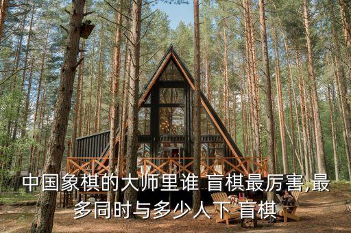 中國象棋的大師里誰 盲棋最厲害,最多同時與多少人下 盲棋
