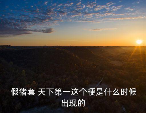 假豬套天下第一,假豬套容易獲取價價比超高!!