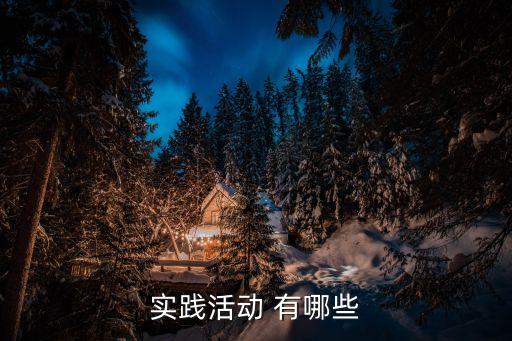 實踐活動有哪些，實踐活動 有哪些