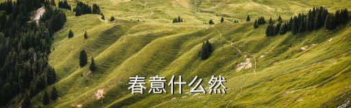  春意什么然