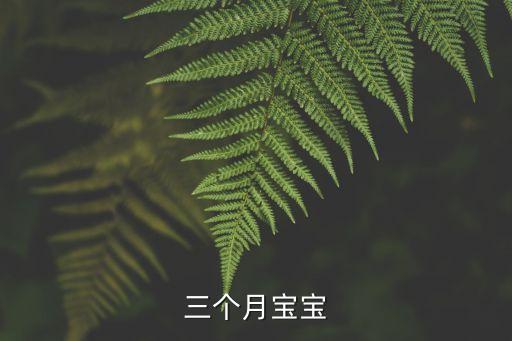 三月齡寶寶，三個(gè)月的嬰兒