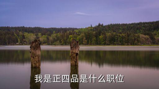 我是正四品是什么職位