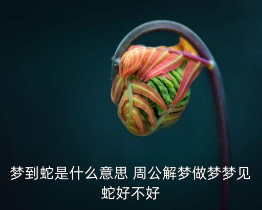 夢到蛇是什么意思 周公解夢做夢夢見蛇好不好