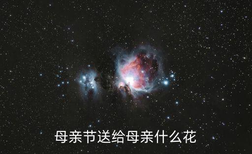 母親節送給母親什么花