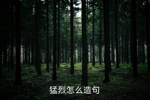 強烈造句，猛烈怎么造句