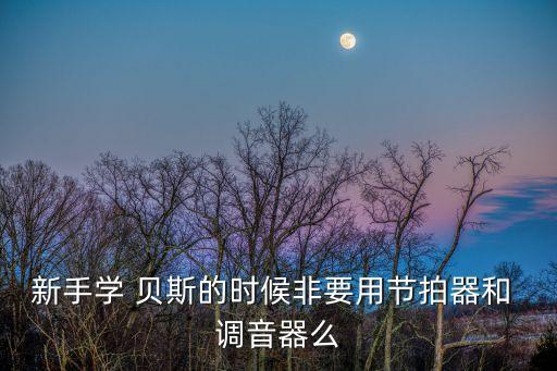 新手學 貝斯的時候非要用節拍器和 調音器么