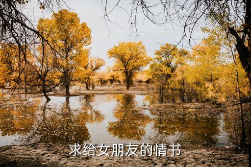 求給女朋友的情書