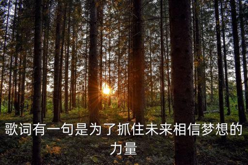 歌詞有一句是為了抓住未來相信夢想的力量