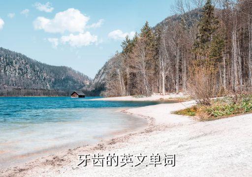 牙齒的英文單詞
