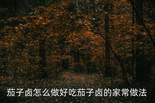 茄子鹵，用茄子怎么做鹵子