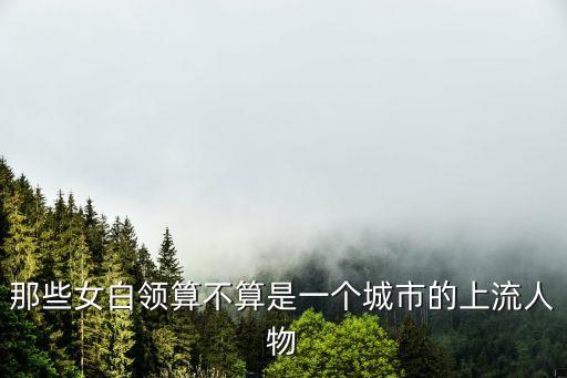 那些女白領算不算是一個城市的上流人物