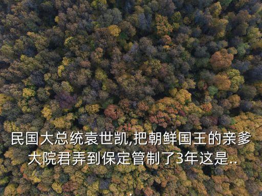 興宣大院君,中國清朝在政治上支持朝鮮偉大祖先李成桂