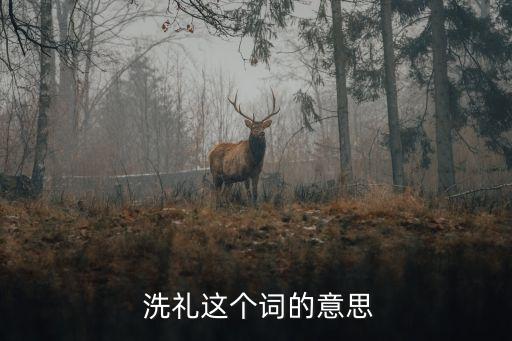 洗禮這個(gè)詞的意思