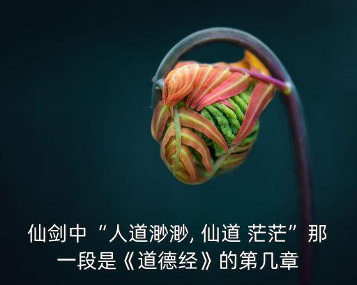 仙劍中“人道渺渺, 仙道 茫茫”那一段是《道德經》的第幾章
