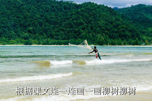 畫(huà)柳樹(shù)，根據(jù)課文連一連畫(huà)一畫(huà)柳樹(shù)柳樹(shù)