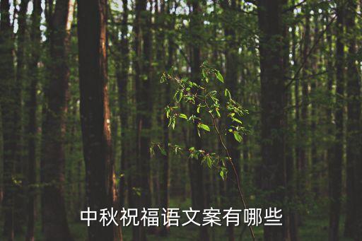 秋天文案，關于秋天的文章段落或者句子
