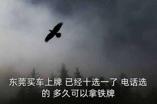 東莞汽車鐵牌要多久，東莞買車上牌 已經十選一了 電話選的 多久可以拿鐵牌