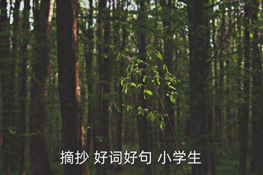 小學生好詞,小學生朗誦好詞好句