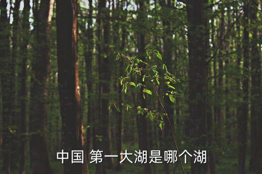 中國 第一大湖是哪個湖