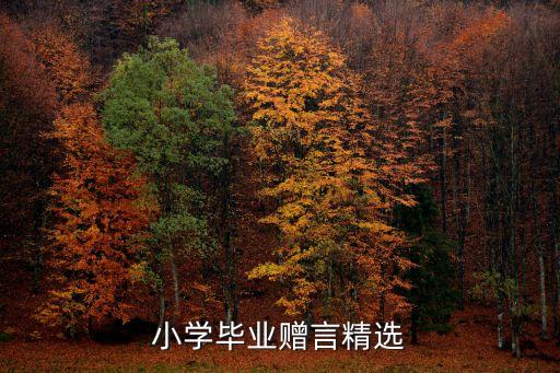 小學(xué)畢業(yè)贈言，小學(xué)畢業(yè)贈言精選
