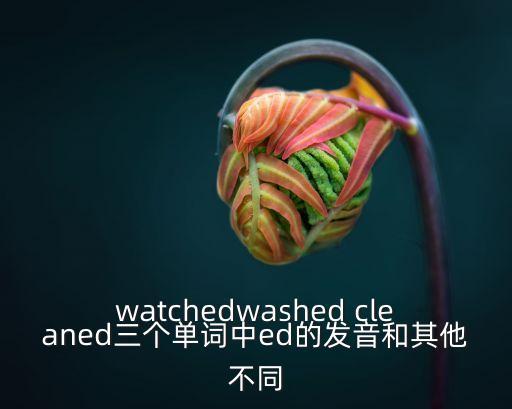 watchedwashed cleaned三個單詞中ed的發(fā)音和其他不同