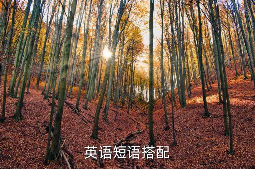 英語(yǔ)短語(yǔ)搭配