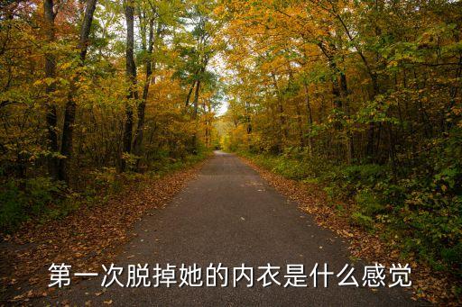 第一次脫掉她的內(nèi)衣是什么感覺