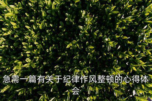 急需一篇有關于紀律作風整頓的心得體會
