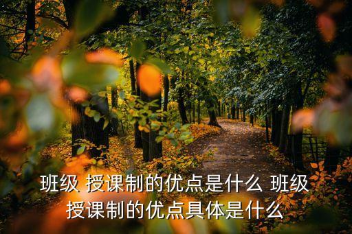  班級(jí) 授課制的優(yōu)點(diǎn)是什么 班級(jí) 授課制的優(yōu)點(diǎn)具體是什么