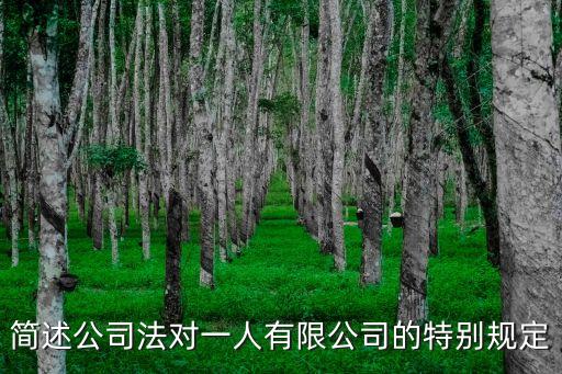 一人有限公司章程，我國法律對一人公司是怎樣規定的