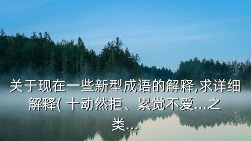 關于現在一些新型成語的解釋,求詳細解釋( 十動然拒、累覺不愛...之類...