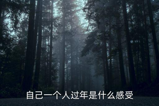 自己一個人過年是什么感受