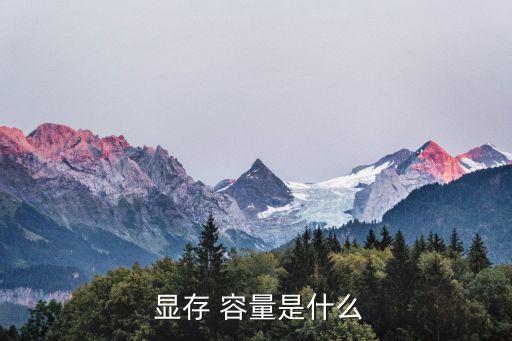 顯存容量,目前最新版本達到12gb顯存容量
