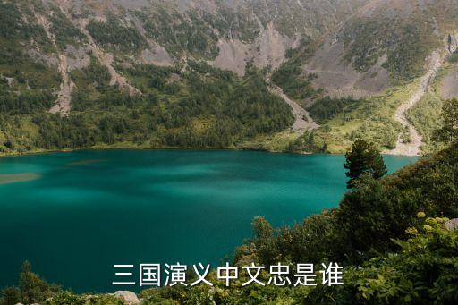 三國演義中文忠是誰