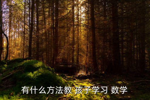 有什么方法教 孩子學習 數學