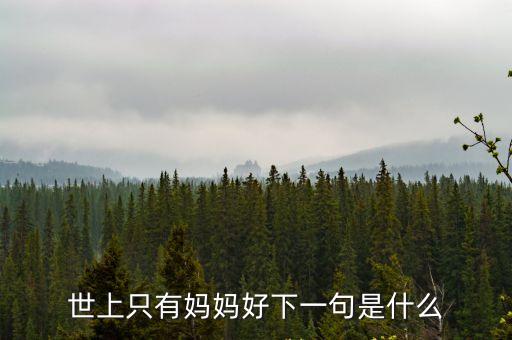 世上只有媽媽好下一句是什么