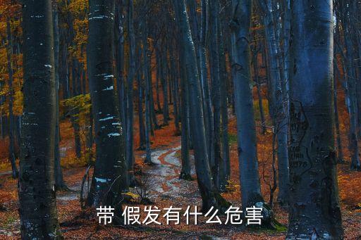 帶 假發有什么危害