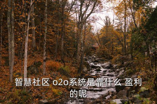智慧社區(qū) o2o系統(tǒng)是靠什么 盈利的呢