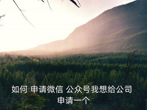 如何 申請微信 公眾號我想給公司 申請一個