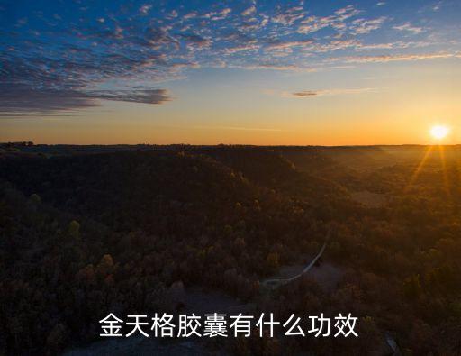 金天格膠囊有什么功效