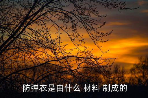  防彈衣是由什么 材料 制成的