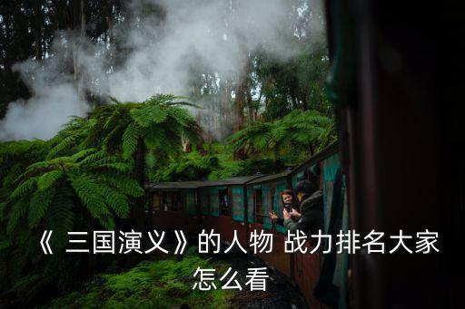 《 三國演義》的人物 戰力排名大家怎么看