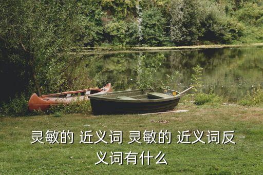  靈敏的 近義詞 靈敏的 近義詞反義詞有什么